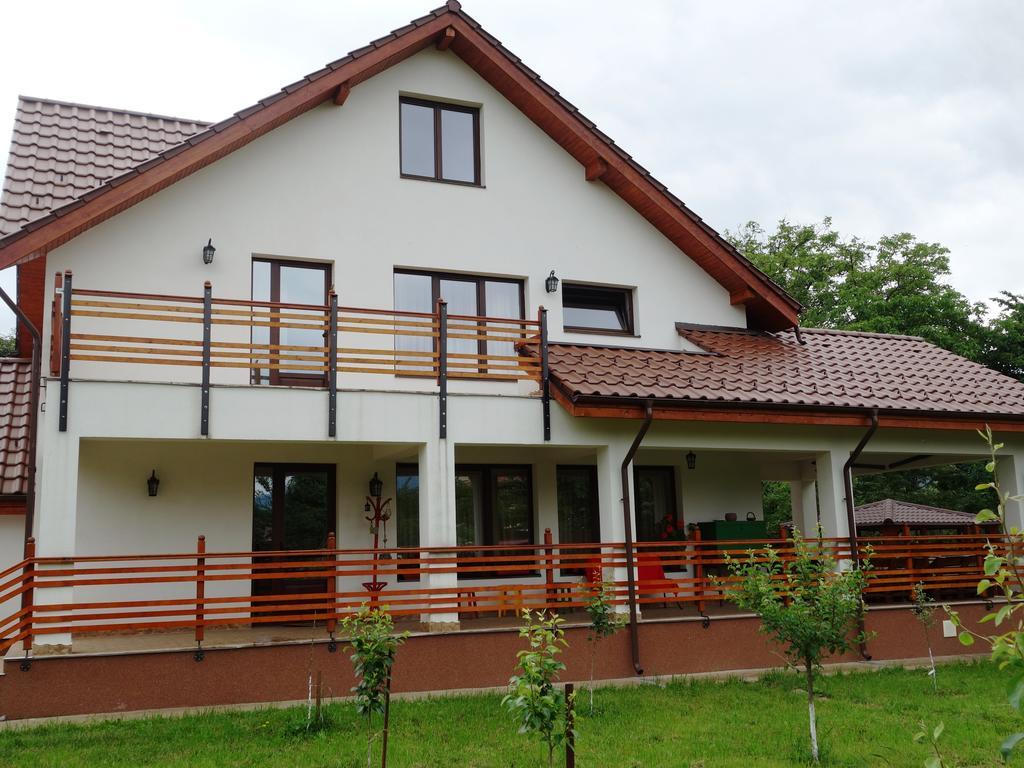 Pensiunea Tania-Nora Alexandru cel Bun Экстерьер фото