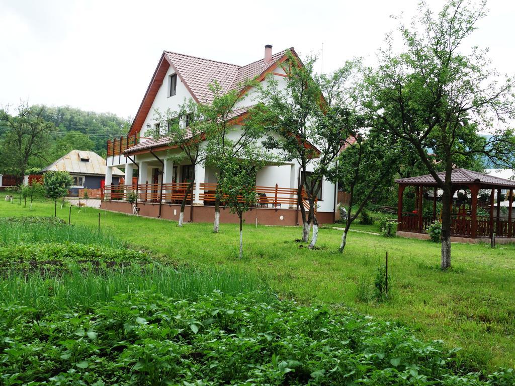 Pensiunea Tania-Nora Alexandru cel Bun Экстерьер фото